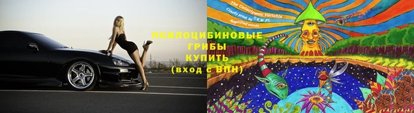 МДПВ Абдулино