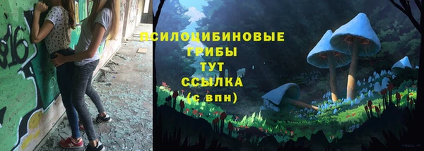 МДПВ Абдулино